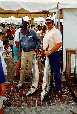 Two king mackerel