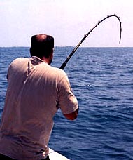 Beng fishing rod
