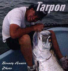 florida fishing guide / charters for tarpon on the saltwater flats and backcountry of Tampa, Tampa Bay, St. Petersburg, Clearwater, Boca Grande, Orlando and Disney area.