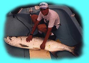 Florida fishing guide / charters on the saltwater flats and backcountry of Boca Grande, Tampa, Tampa Bay, Clearwater, St. Petersburg, Orlando and Disney area. Light tackle and fly fishing charters.